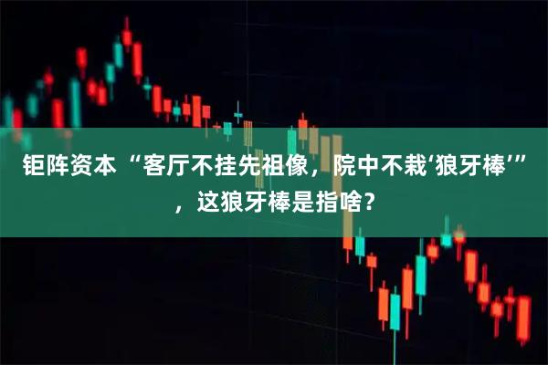 钜阵资本 “客厅不挂先祖像，院中不栽‘狼牙棒’”，这狼牙棒是指啥？