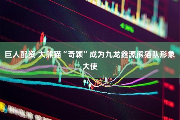 巨人配资 大熊猫“奇颖”成为九龙鑫源熊猫队形象大使