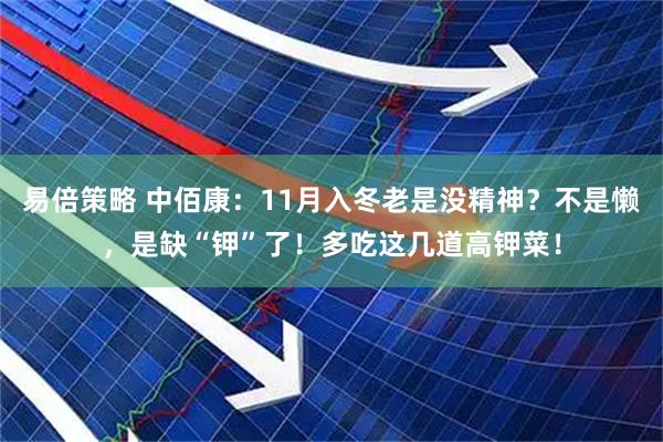 易倍策略 中佰康：11月入冬老是没精神？不是懒，是缺“钾”了！多吃这几道高钾菜！